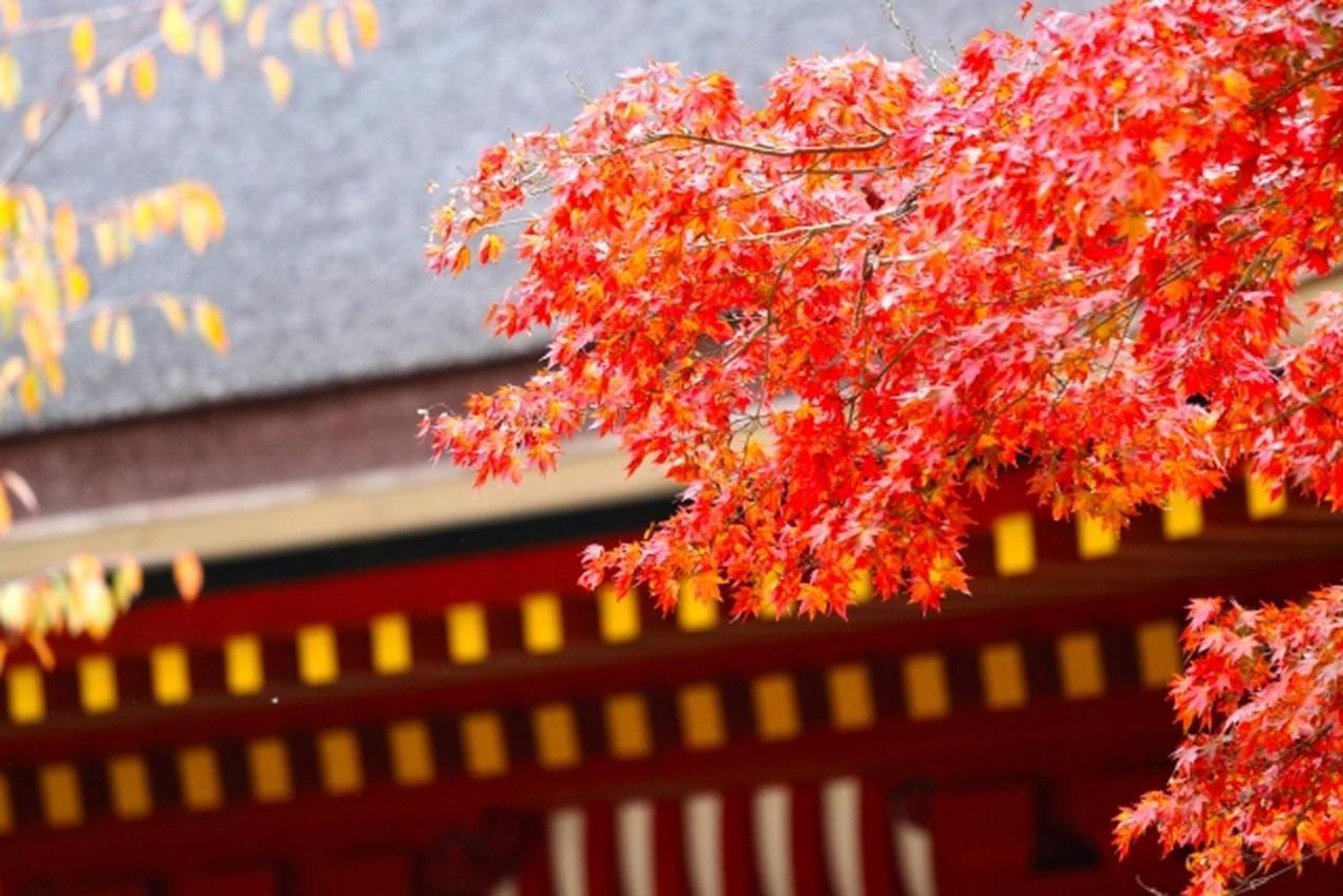 Stay Sakura Kyoto Gion Miyagawacho Buitenkant foto